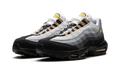 Air Max 95 "ICONS" DX4236 100