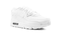 Air Max 90 CD6867 100