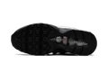Nike Air Max 95 "Total 90 - Metallic Silver" IB6830 002