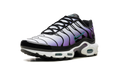 Air Max Plus "Reverse Grape" FQ2415 500
