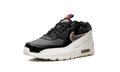 Air Max 90 LTR GS "Off Noir Metallic Pewter" DJ0414 001