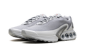 Air Max Dn "Wolf Grey" DV3337 007