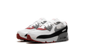 Air Max 90 PS "Photon Dust Grey" CD6867 019