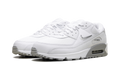Air Max 90 "Jewel Light Smoke Grey" FN8005 100
