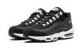 Air Max 95 "Black / Pure Platinum" DM0011 009