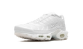 AIR MAX PLUS WMNS "Pure Platinum" DM2362 100