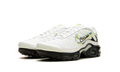 Air Max Plus Big Kid "Layered Swoosh" DV7140 100